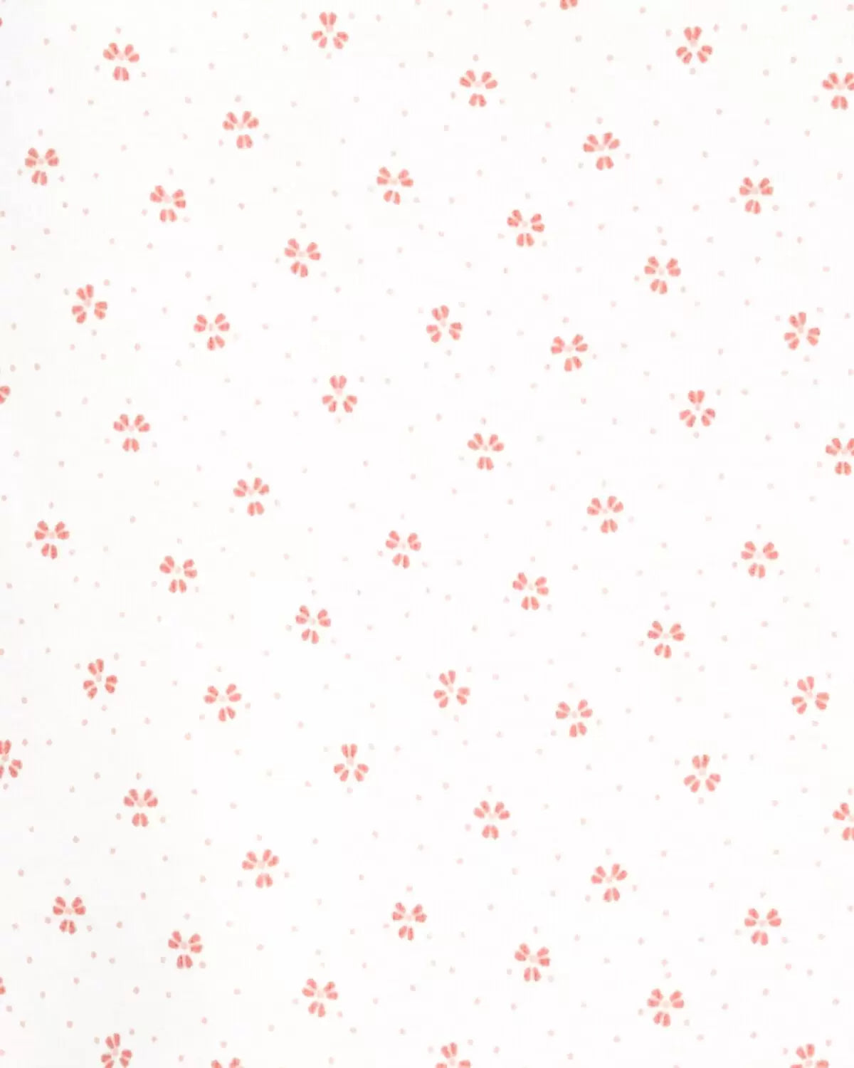 Paquete de 5 mamelucos de manga corta para bebé